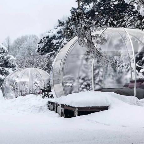 Igloo Plus