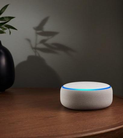 „Amazon Echo Dot“