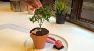 „Spot Dessert Bar“ gamina valgomą augalą, išlydytą „Matcha“ lavos pyragą