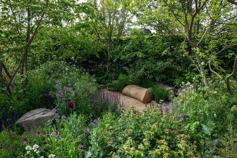 „place2be“ saugo rytojaus sodą, kurį sukūrė jamie Butterworth Rhs Chelsea gėlių šou 2022 m.