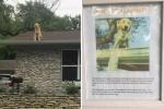 Šios šeimos ženklas paaiškina, kodėl jų šuo mėgsta sėdėti ant stogo
