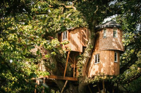 Medžių viršūnės Treehouse - Devon - namas - Canopy & Stars