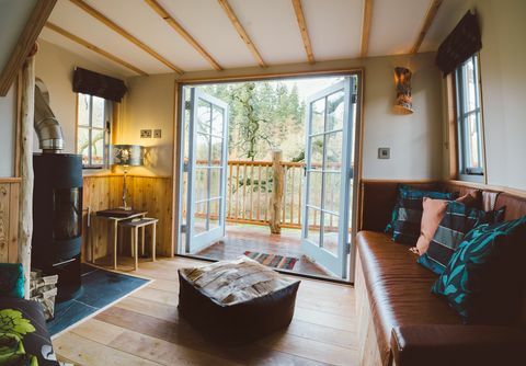 Medžių viršūnės Treehouse - Devon - durys - Canopy & Stars