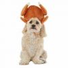 „PetSmart“ turi mielius naujus padėkos kostiumus šunims