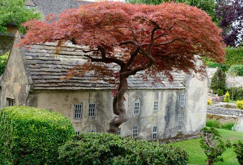 „Bourton Model Village“ - medis - „Cotswolds“