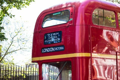 „Red London Bus“, vežantis žmones į Chelsea gėlių parodą, Londoną, JK